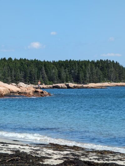 Fine Sand Beach - Swans Island, ME