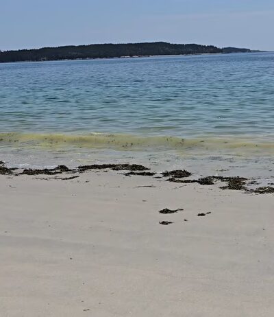 Fine Sand Beach - Swans Island, ME
