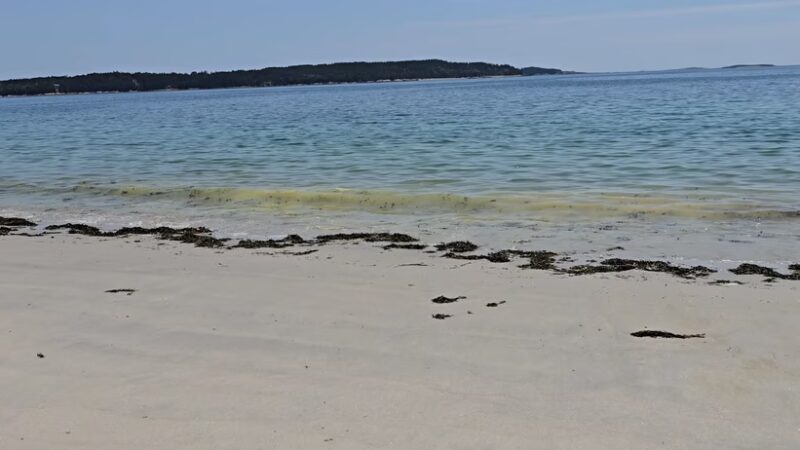 Fine Sand Beach - Swans Island, ME