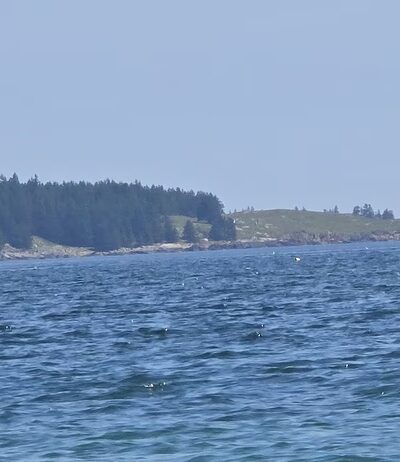 Fine Sand Beach - Swans Island, ME