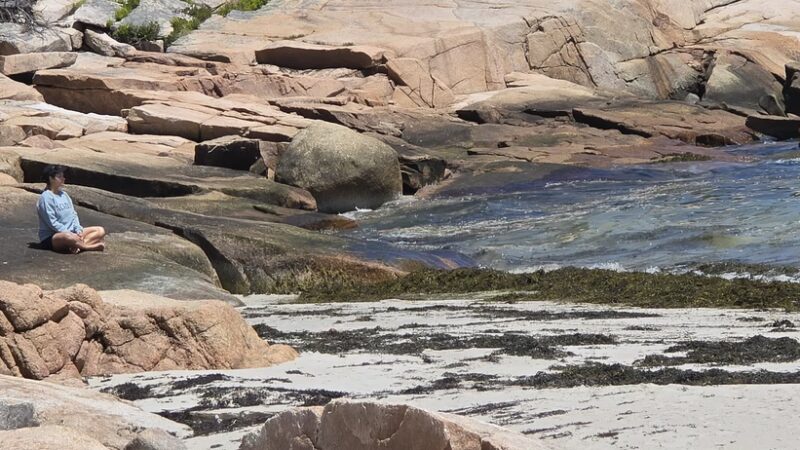 Fine Sand Beach - Swans Island, ME