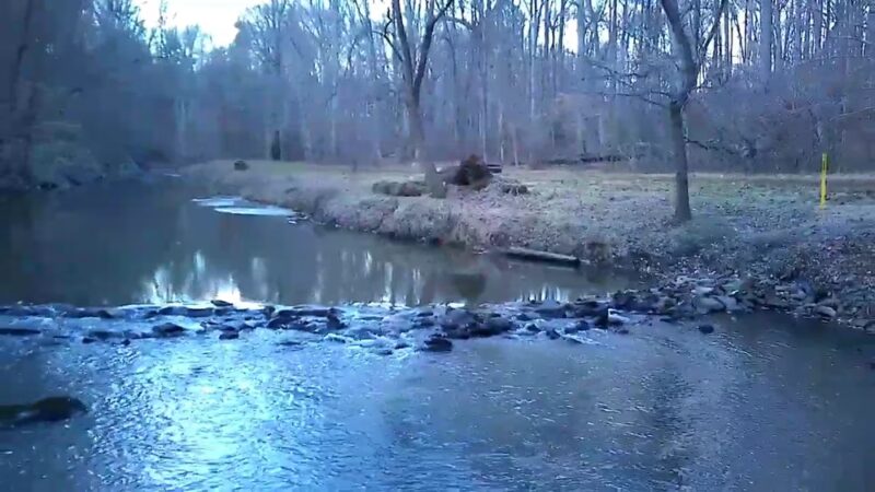 Crum Woods - Swarthmore, PA