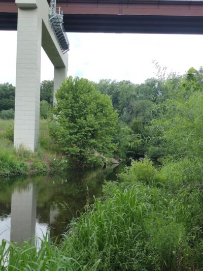 Crum Woods - Swarthmore, PA