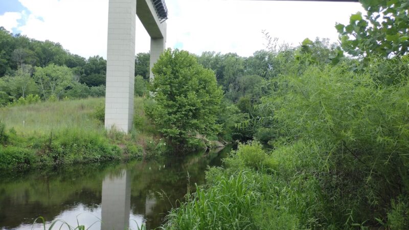 Crum Woods - Swarthmore, PA