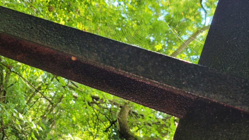 Little Crum Creek Gazebo - Swarthmore, PA