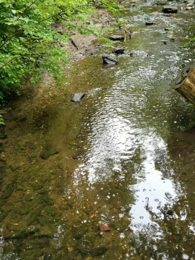 Little Crum Creek Park - Swarthmore, PA