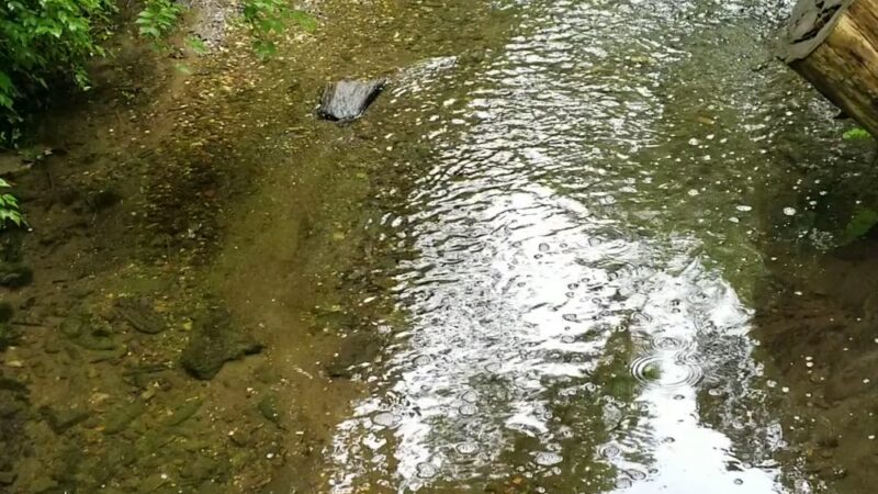 Little Crum Creek Park - Swarthmore, PA