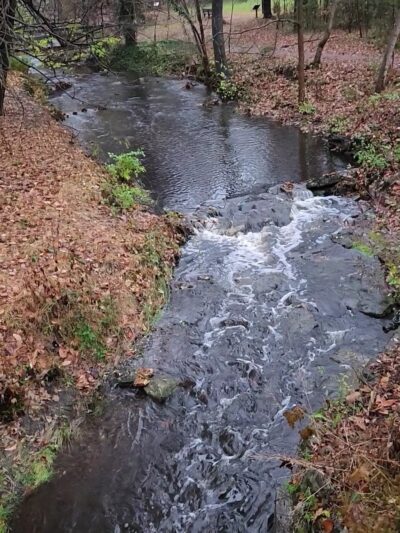 Little Crum Creek Park - Swarthmore, PA