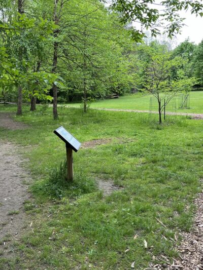 Little Crum Creek Park - Swarthmore, PA
