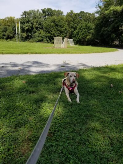 Paulson Park - Swarthmore, PA