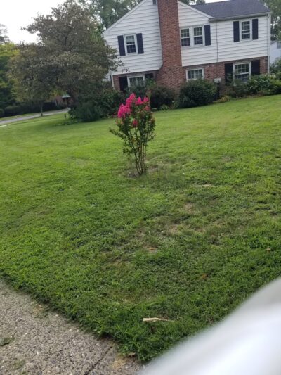 Paulson Park - Swarthmore, PA