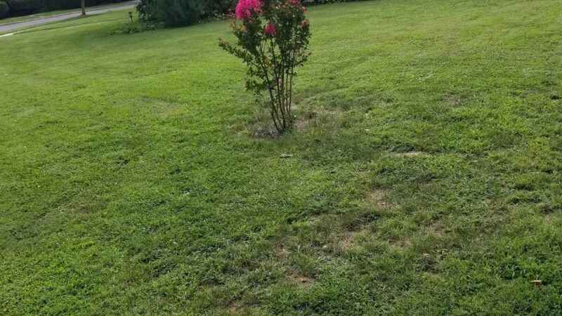 Paulson Park - Swarthmore, PA