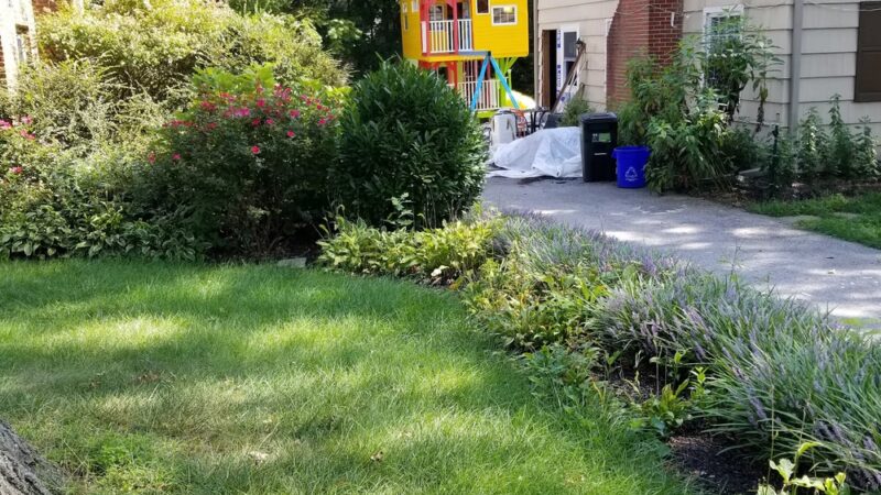 Paulson Park - Swarthmore, PA