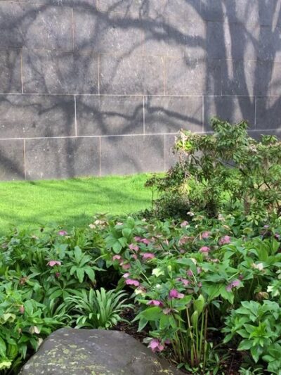 Scott Arboretum of Swarthmore College - Swarthmore, PA