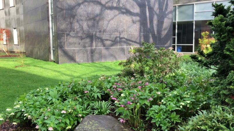 Scott Arboretum of Swarthmore College - Swarthmore, PA