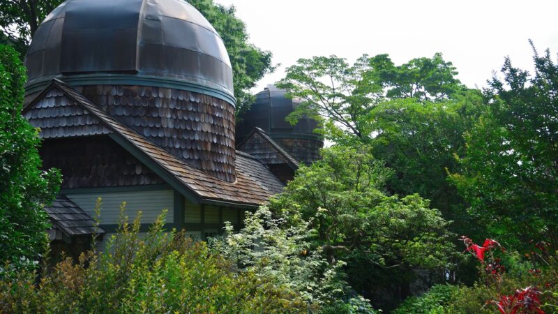 Scott Arboretum of Swarthmore College - Swarthmore, PA