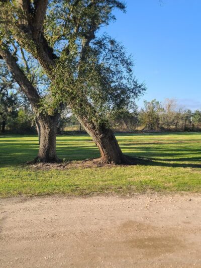 Sweeny Old Ocean Rv Park - Sweeny, TX