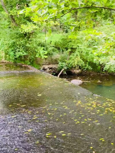 Carrie Dorsey Park - Sykesville, MD