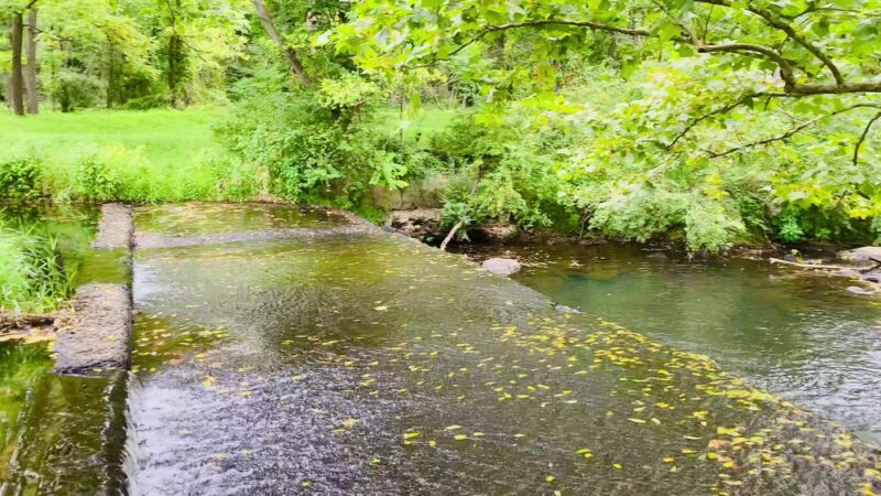 Carrie Dorsey Park - Sykesville, MD