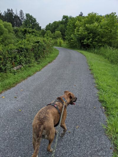Carrie Dorsey Park - Sykesville, MD