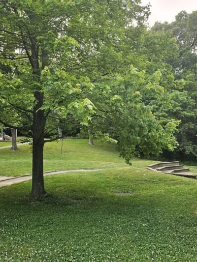 Millard Cooper Park - Sykesville, MD