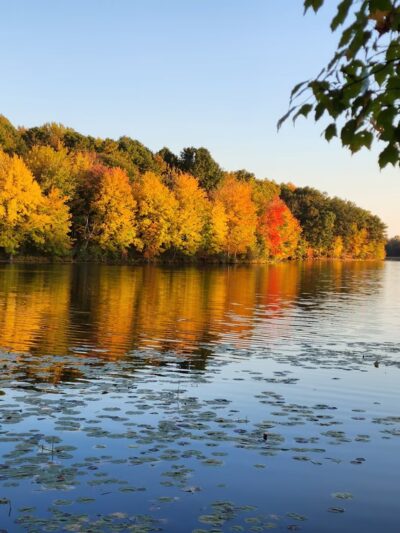 Piney Run Park - Sykesville, MD