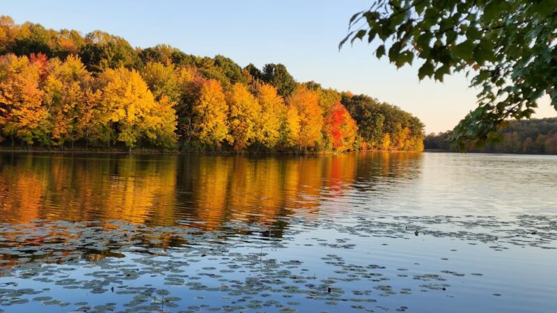 Piney Run Park - Sykesville, MD