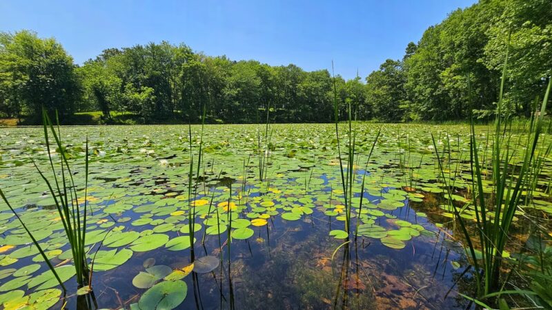 Piney Run Park - Sykesville, MD
