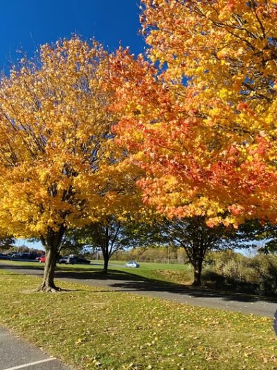 Freedom Park - Sykesville, MD