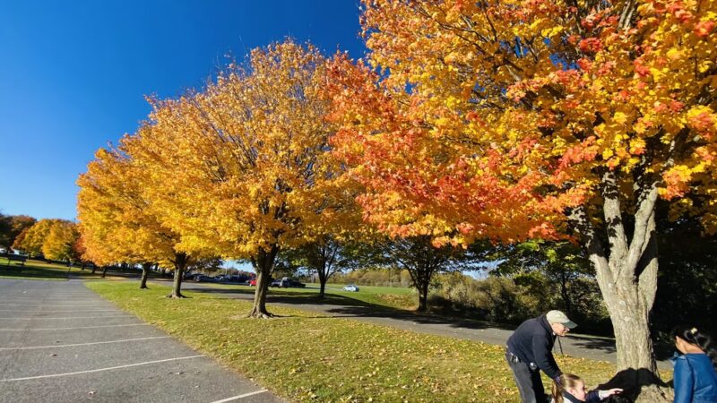 Freedom Park - Sykesville, MD