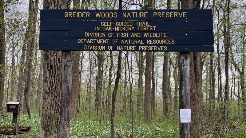Spear Lake Nature Trail - Syracuse, IN