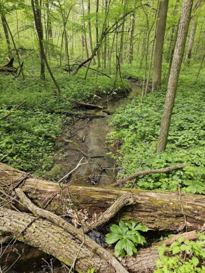 Spear Lake Nature Trail - Syracuse, IN