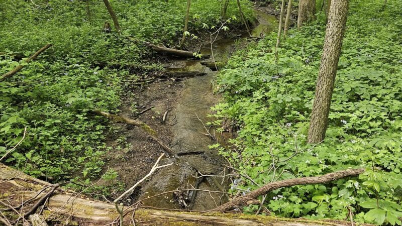 Spear Lake Nature Trail - Syracuse, IN