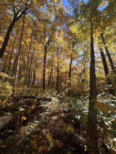 Spear Lake Nature Trail - Syracuse, IN