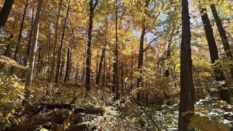 Spear Lake Nature Trail - Syracuse, IN