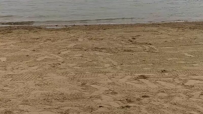 Syracuse Beach - Syracuse, IN