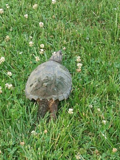 Veteran's Memorial Park at Crosson Mill - Syracuse, IN