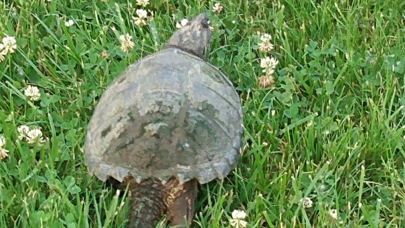 Veteran's Memorial Park at Crosson Mill - Syracuse, IN