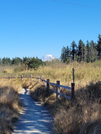 Naches Trail Preserve - Tacoma, WA