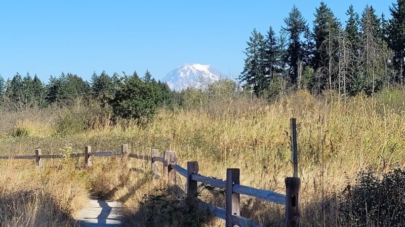 Naches Trail Preserve - Tacoma, WA