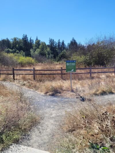 Naches Trail Preserve - Tacoma, WA