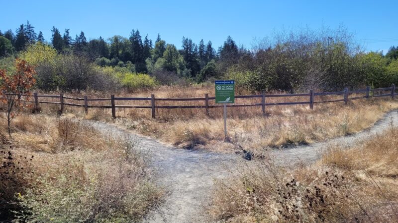 Naches Trail Preserve - Tacoma, WA
