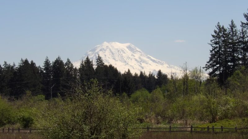 Naches Trail Preserve - Tacoma, WA