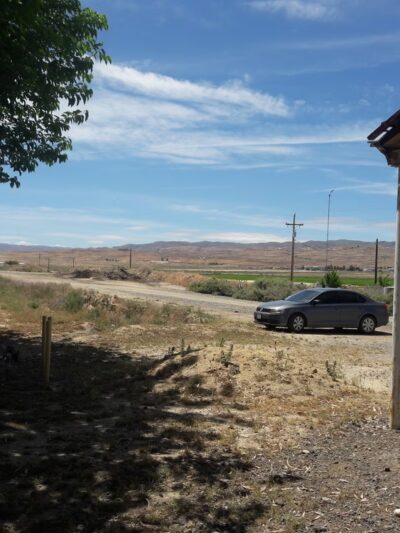 Taft City Animal Shelter - Taft, CA