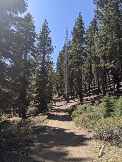 North Tahoe Regional Park - Tahoe Vista, CA