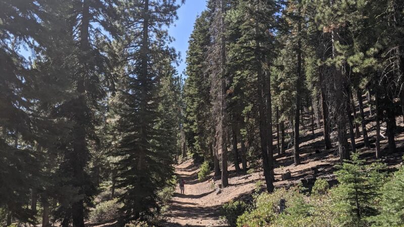 North Tahoe Regional Park - Tahoe Vista, CA