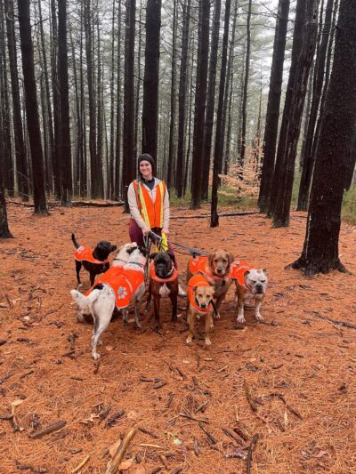 Tails N' Trails - ,