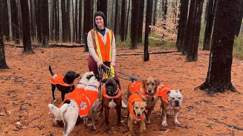 Tails N' Trails - ,