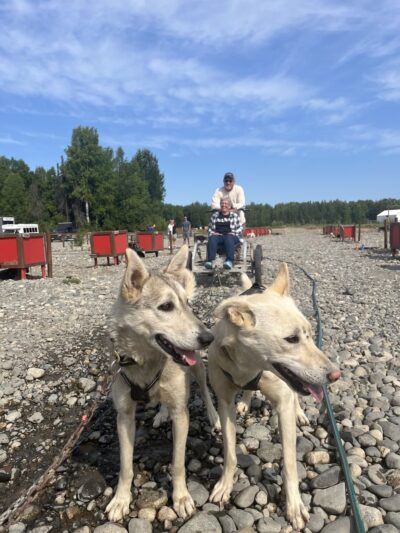 AK Sled Dog Tours - Talkeetna, AK
