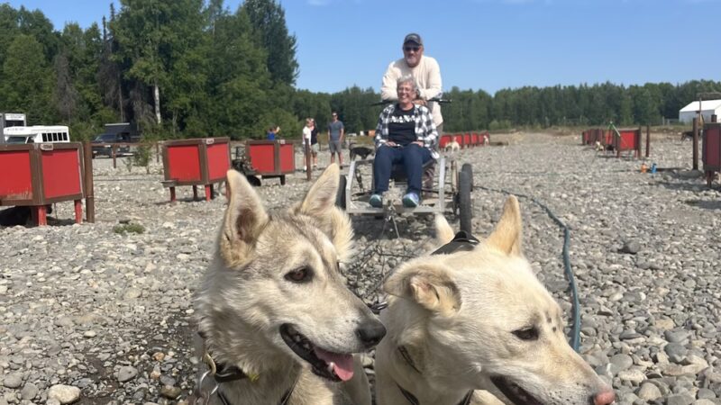 AK Sled Dog Tours - Talkeetna, AK